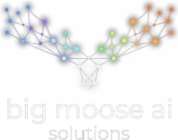 Big Moose AI Solutions